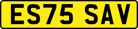 ES75SAV
