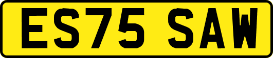 ES75SAW