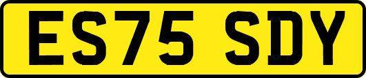 ES75SDY