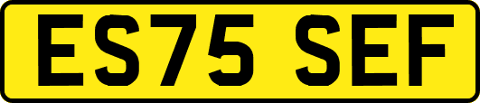 ES75SEF