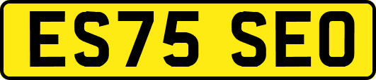 ES75SEO