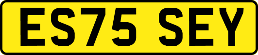ES75SEY