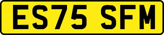 ES75SFM