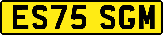 ES75SGM