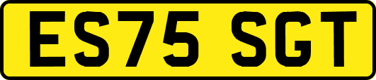 ES75SGT