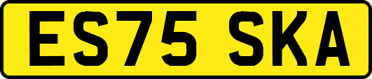 ES75SKA