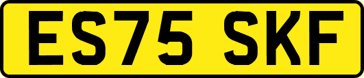 ES75SKF