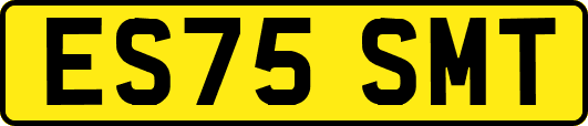 ES75SMT