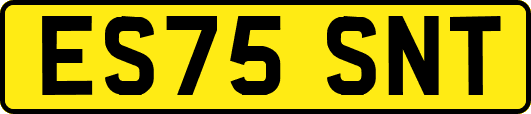 ES75SNT