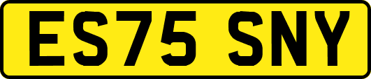 ES75SNY