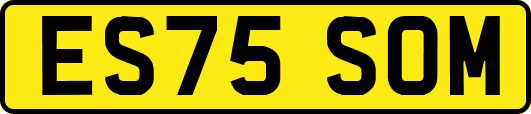 ES75SOM