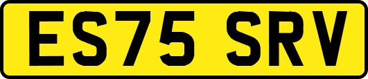 ES75SRV