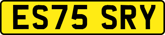ES75SRY
