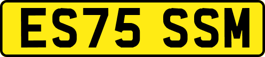 ES75SSM