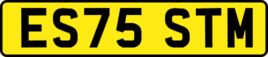 ES75STM