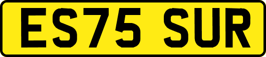 ES75SUR