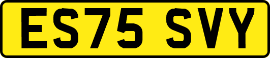 ES75SVY