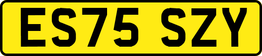 ES75SZY