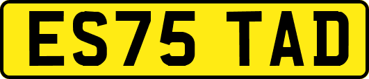 ES75TAD