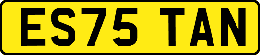 ES75TAN
