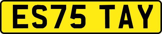 ES75TAY