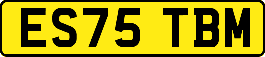 ES75TBM