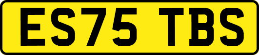 ES75TBS