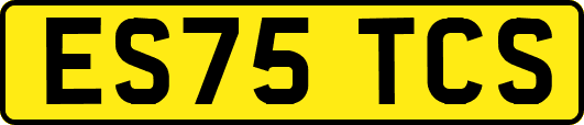 ES75TCS