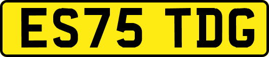 ES75TDG
