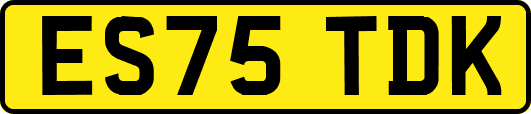 ES75TDK