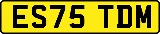 ES75TDM