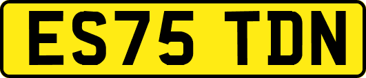 ES75TDN