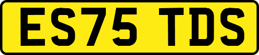ES75TDS