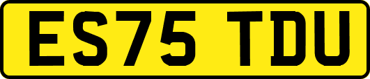 ES75TDU