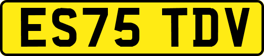 ES75TDV