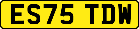 ES75TDW