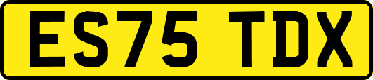 ES75TDX