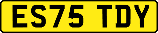 ES75TDY