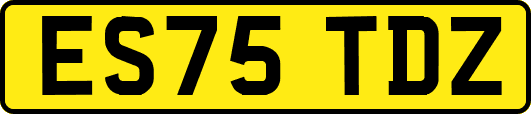 ES75TDZ
