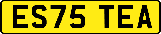 ES75TEA