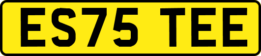 ES75TEE
