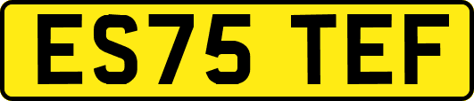 ES75TEF