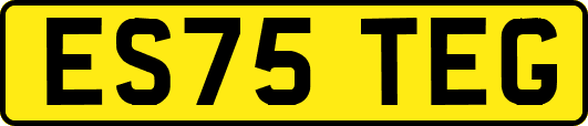 ES75TEG