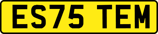ES75TEM