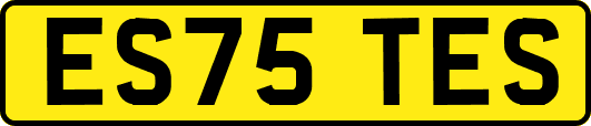 ES75TES