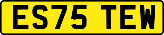ES75TEW