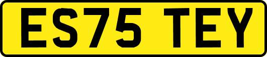 ES75TEY