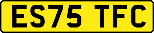 ES75TFC
