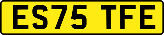 ES75TFE