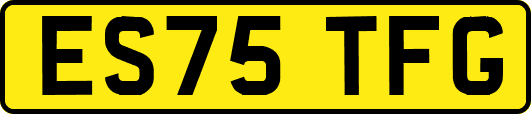 ES75TFG